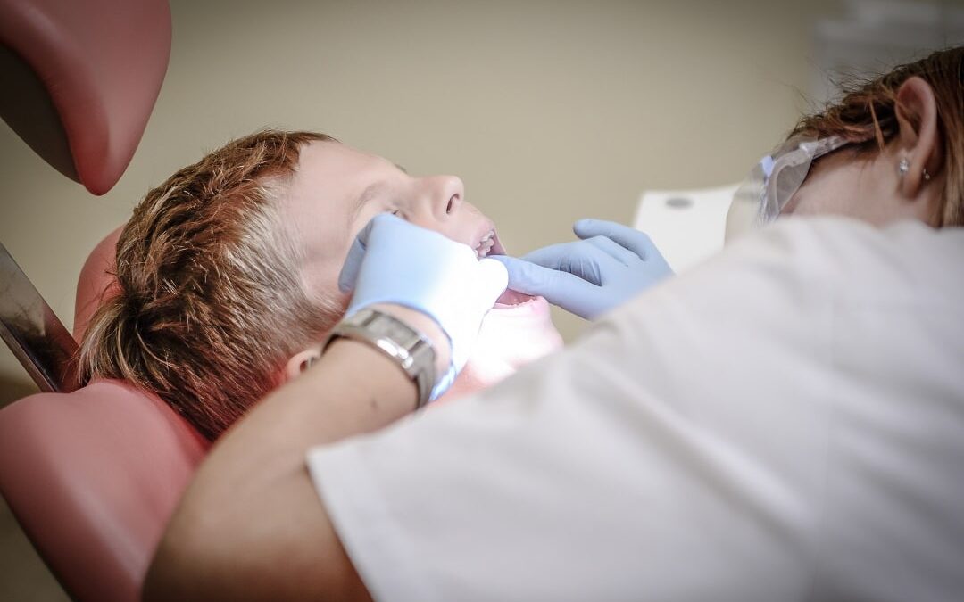 family dentist checking little patient in NW Calgary